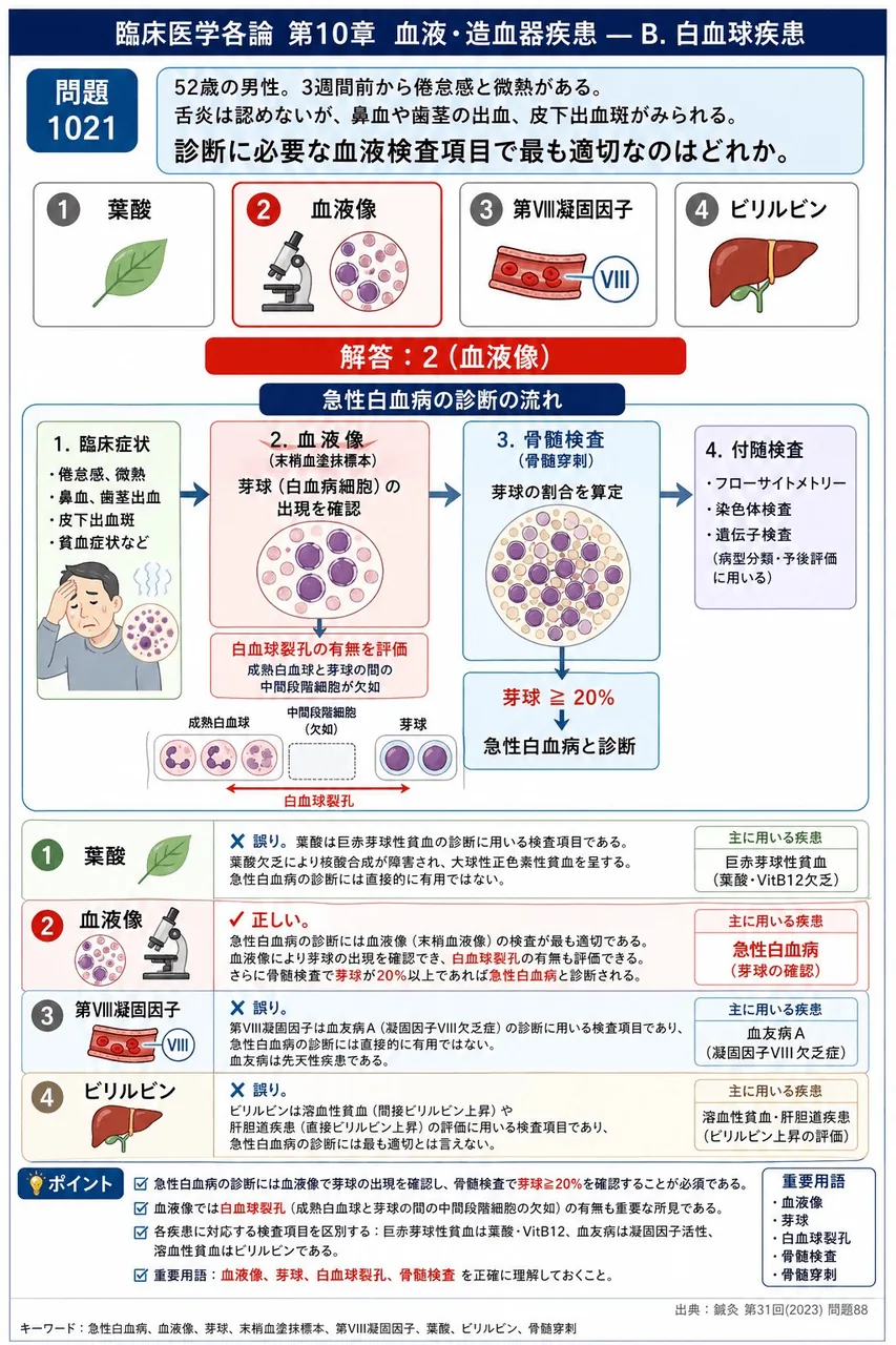 鍼灸 第31回(2023) 問題88｜「52歳の男性。 3週間前から倦怠感と微熱がある。舌炎は認めないが、鼻血や歯茎の出血、皮下出血斑がみられる。」診断に必要な血液検査項目で最も適切なのはどれか。 解説図