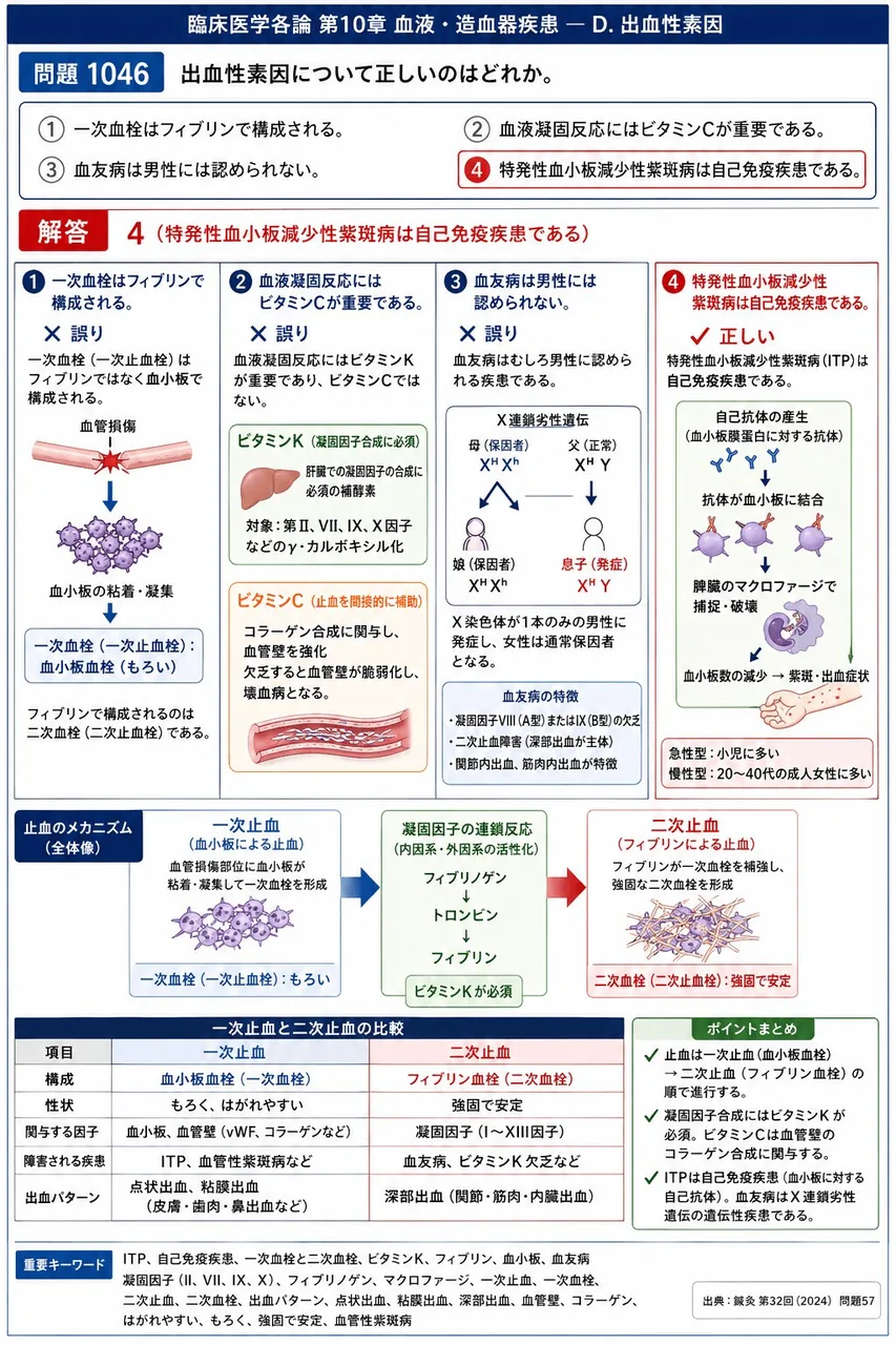 鍼灸 第32回(2024) 問題57|出血性素因について正しいのはどれか。 解説図