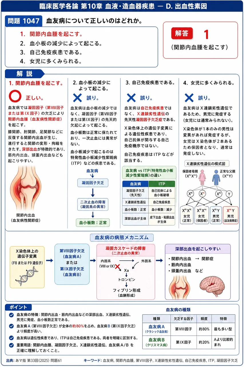 あマ指 第33回(2025) 問題61｜血友病について正しいのはどれか。 解説図