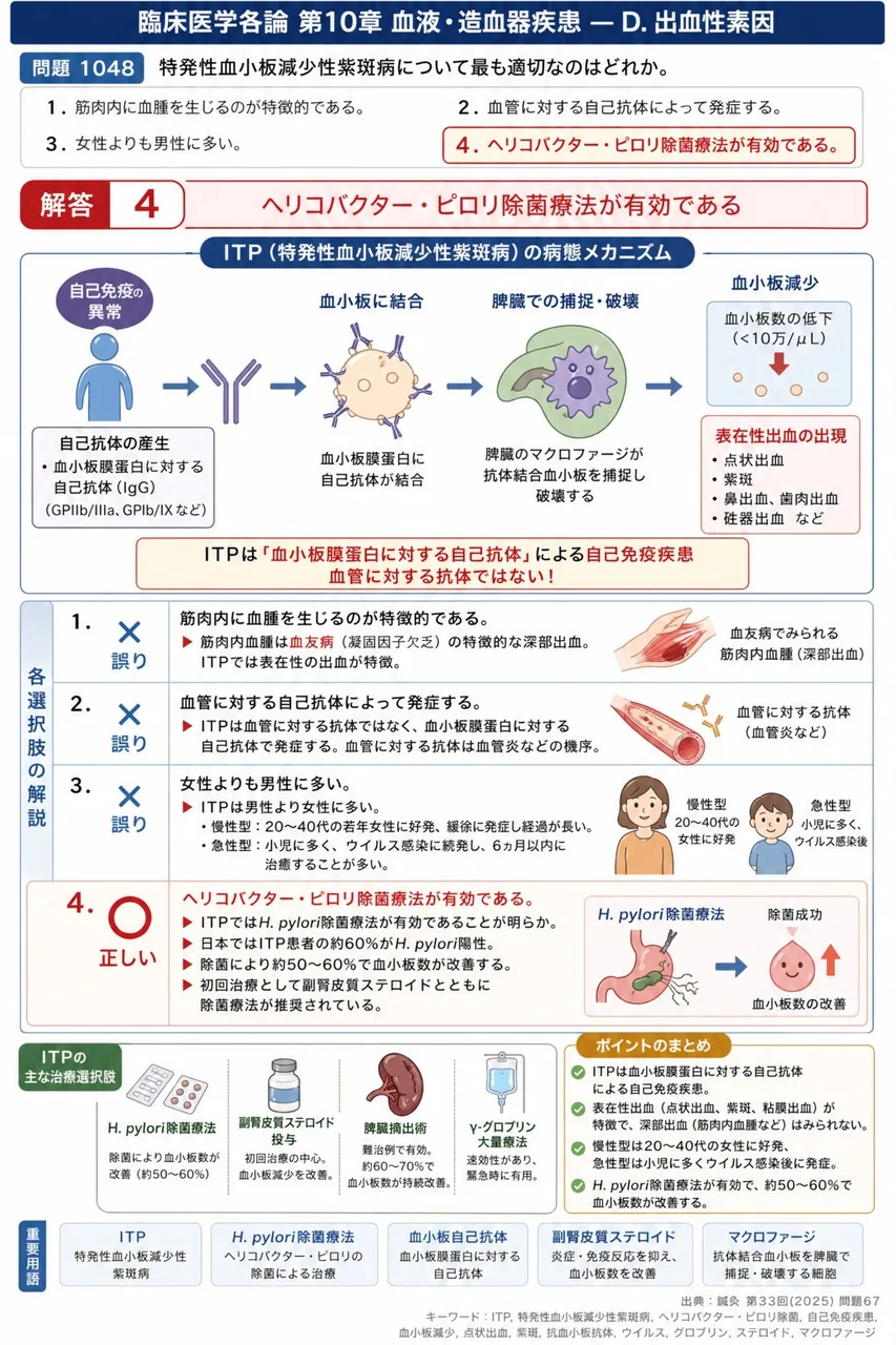 鍼灸 第33回(2025) 問題67｜特発性血小板減少性紫斑病について最も適切なのはどれか。 解説図