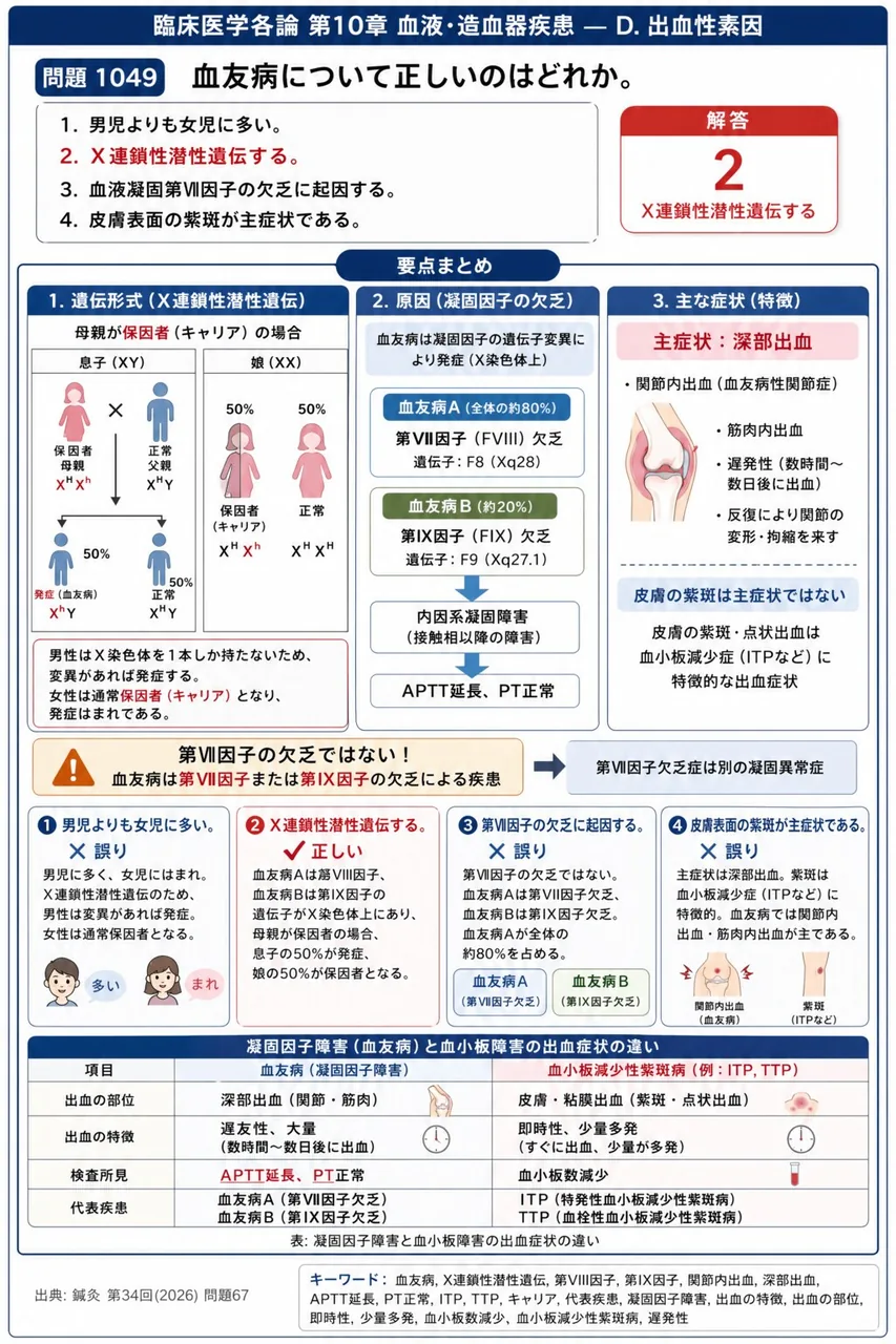 鍼灸 第34回(2026) 問題67|血友病について正しいのはどれか。 解説図