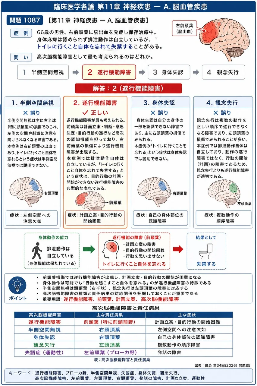 鍼灸 第34回(2026) 問題85|「66歳の男性。右前頭葉に脳出血を発症し保存治療中。身体麻痺は認められず排泄動作は自立しているが、トイレに行くこと自体を忘れて失禁することがある。」高次脳機能障害として最も考えられるのはどれか。 解説図