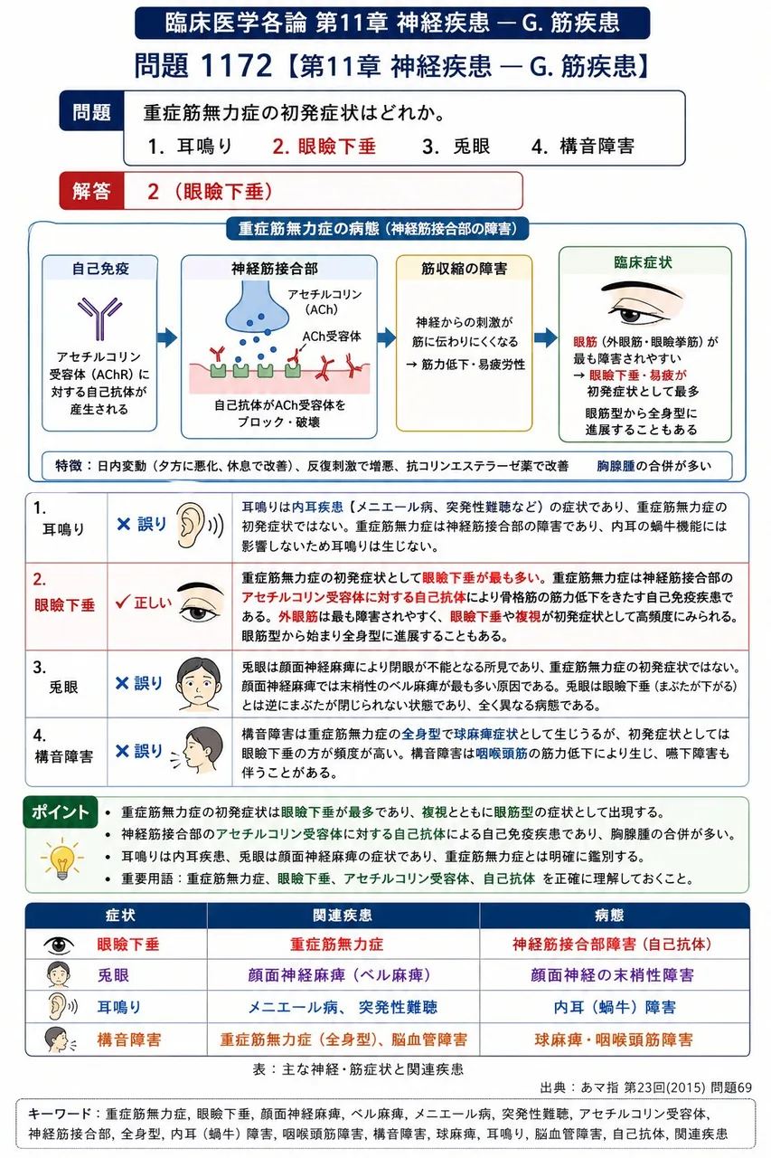 あマ指 第23回(2015) 問題69|重症筋無力症の初発症状はどれか。 解説図