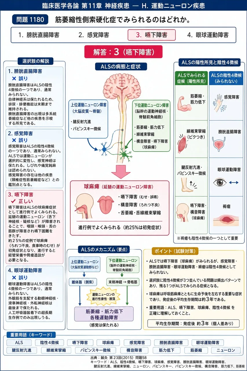 鍼灸 第23回(2015) 問題58｜筋萎縮性側索硬化症でみられるのはどれか。 解説図
