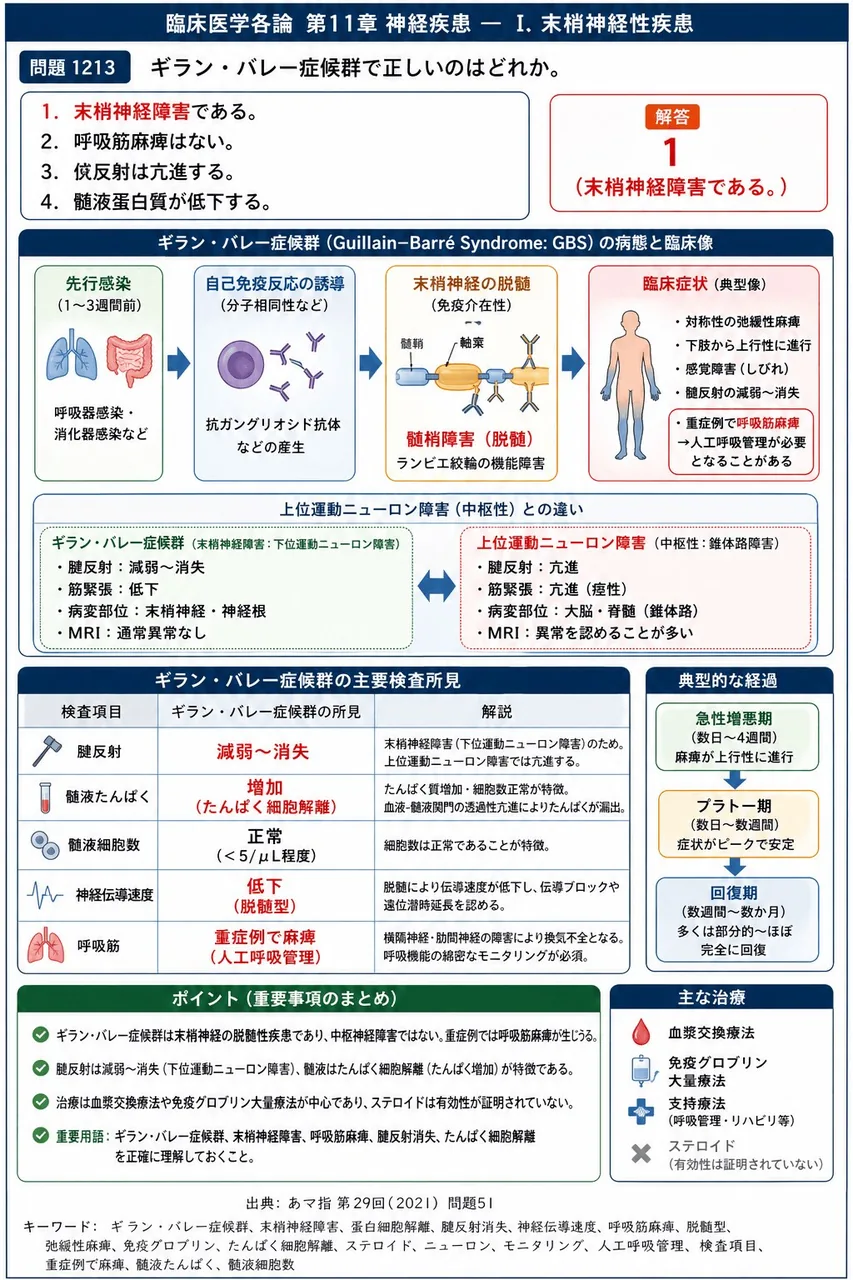あマ指 第29回(2021) 問題51｜ギラン・バレー症候群で正しいのはどれか。 解説図