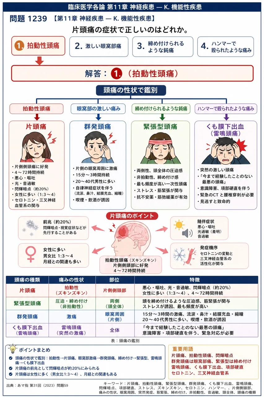 あマ指 第31回(2023) 問題59|片頭痛の症状で正しいのはどれか。 解説図