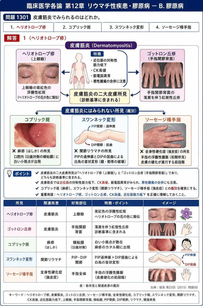 鍼灸 第23回(2015) 問題60|皮膚筋炎でみられるのはどれか。 解説図