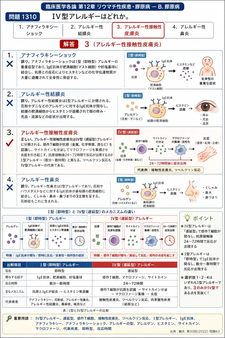 鍼灸 第30回(2022) 問題63|IV型アレルギーはどれか。 解説図