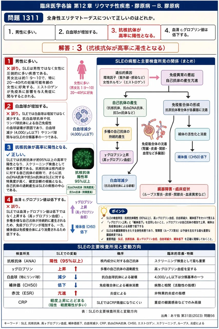 あマ指 第31回(2023) 問題56｜全身性エリテマトーデスについて正しいのはどれか。 解説図
