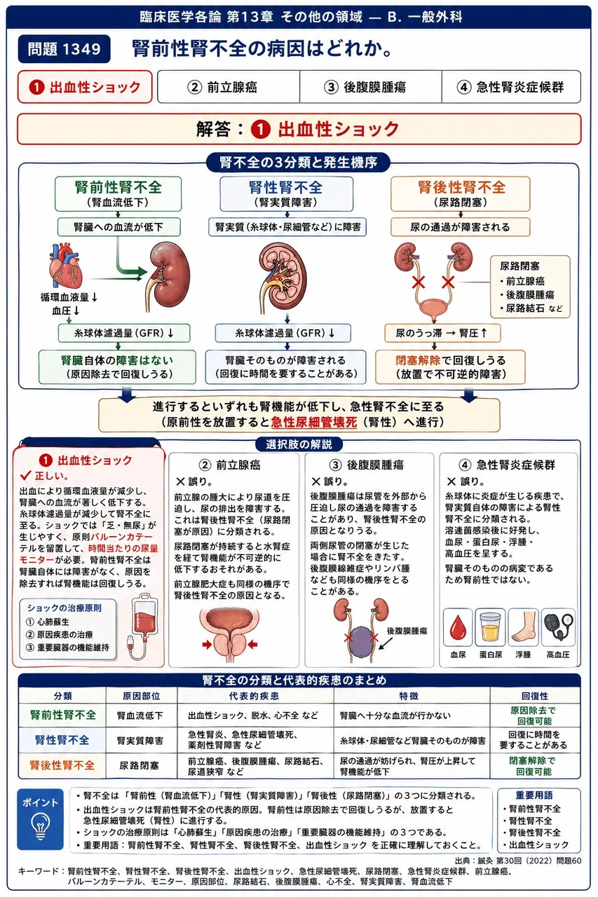 鍼灸 第30回(2022) 問題60|腎前性腎不全の病因はどれか。 解説図
