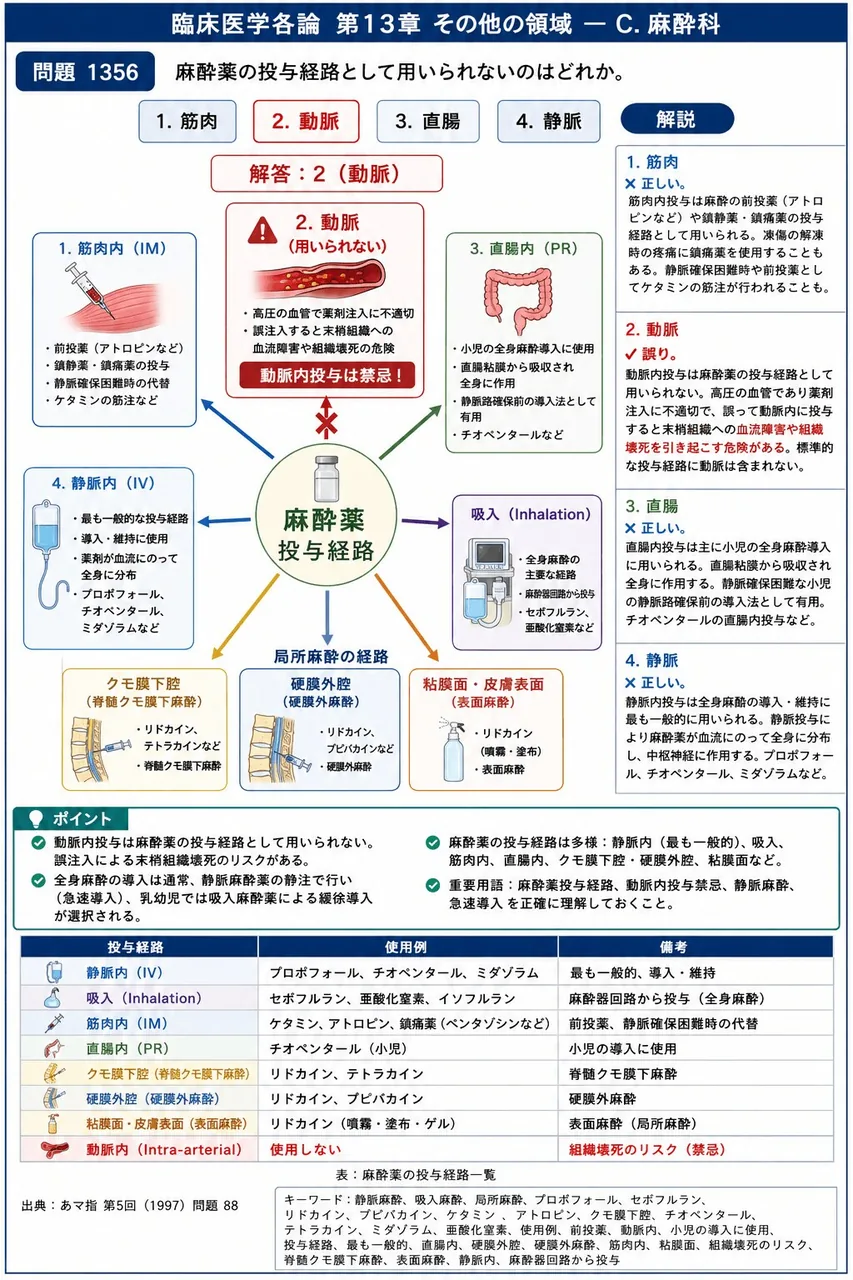 あマ指 第5回(1997) 問題88|麻酔薬の投与経路として用いられないのはどれか。 解説図