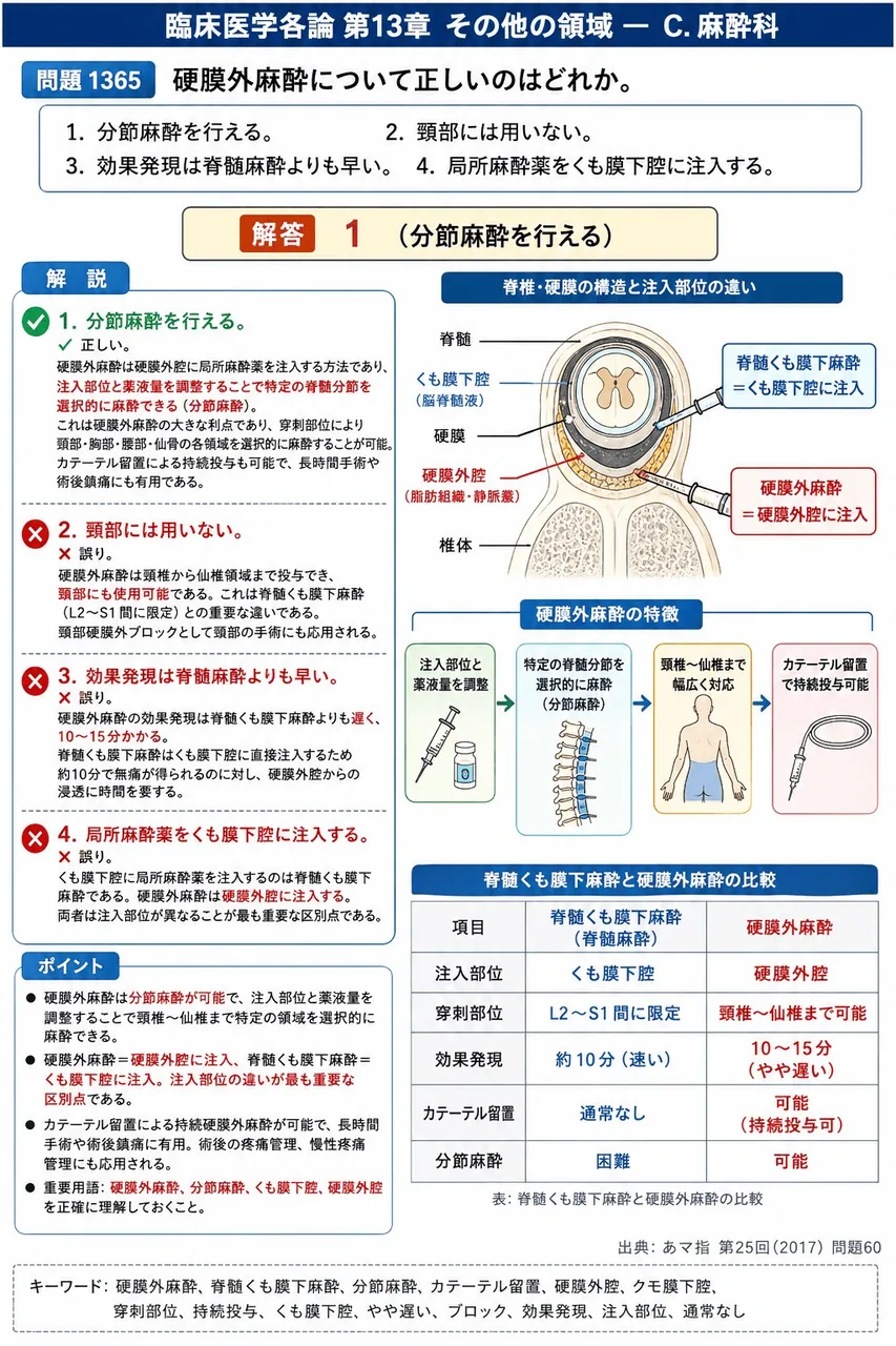 あマ指 第25回(2017) 問題60|硬膜外麻酔について正しいのはどれか。 解説図