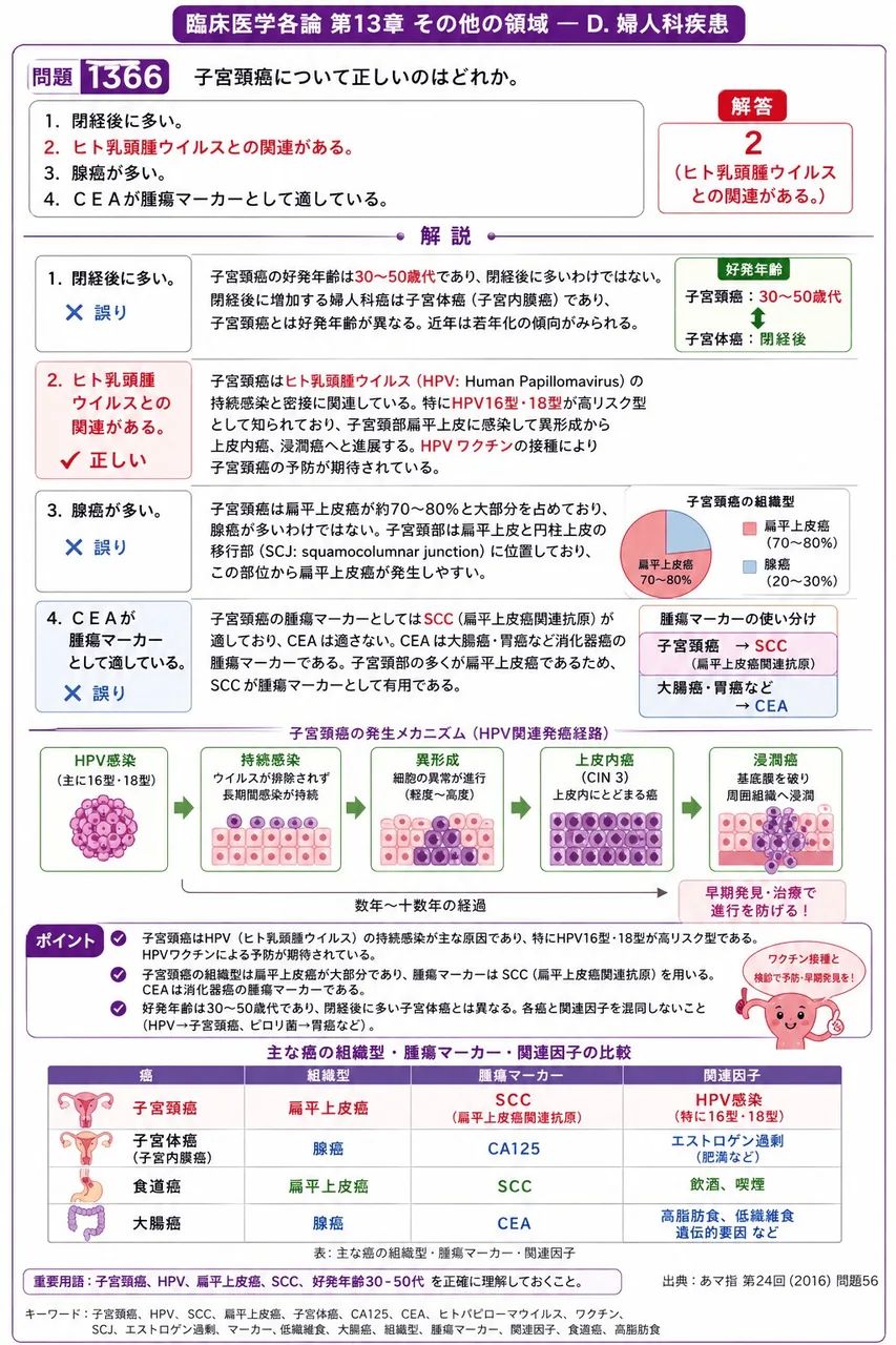 あマ指 第24回(2016) 問題56｜子宮頚癌について正しいのはどれか。 解説図