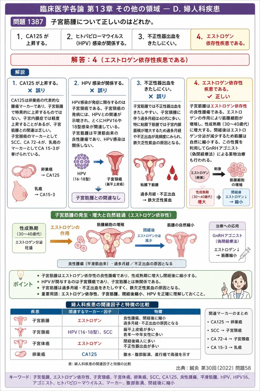 鍼灸 第30回(2022) 問題58|子宮筋腫について正しいのはどれか。 解説図