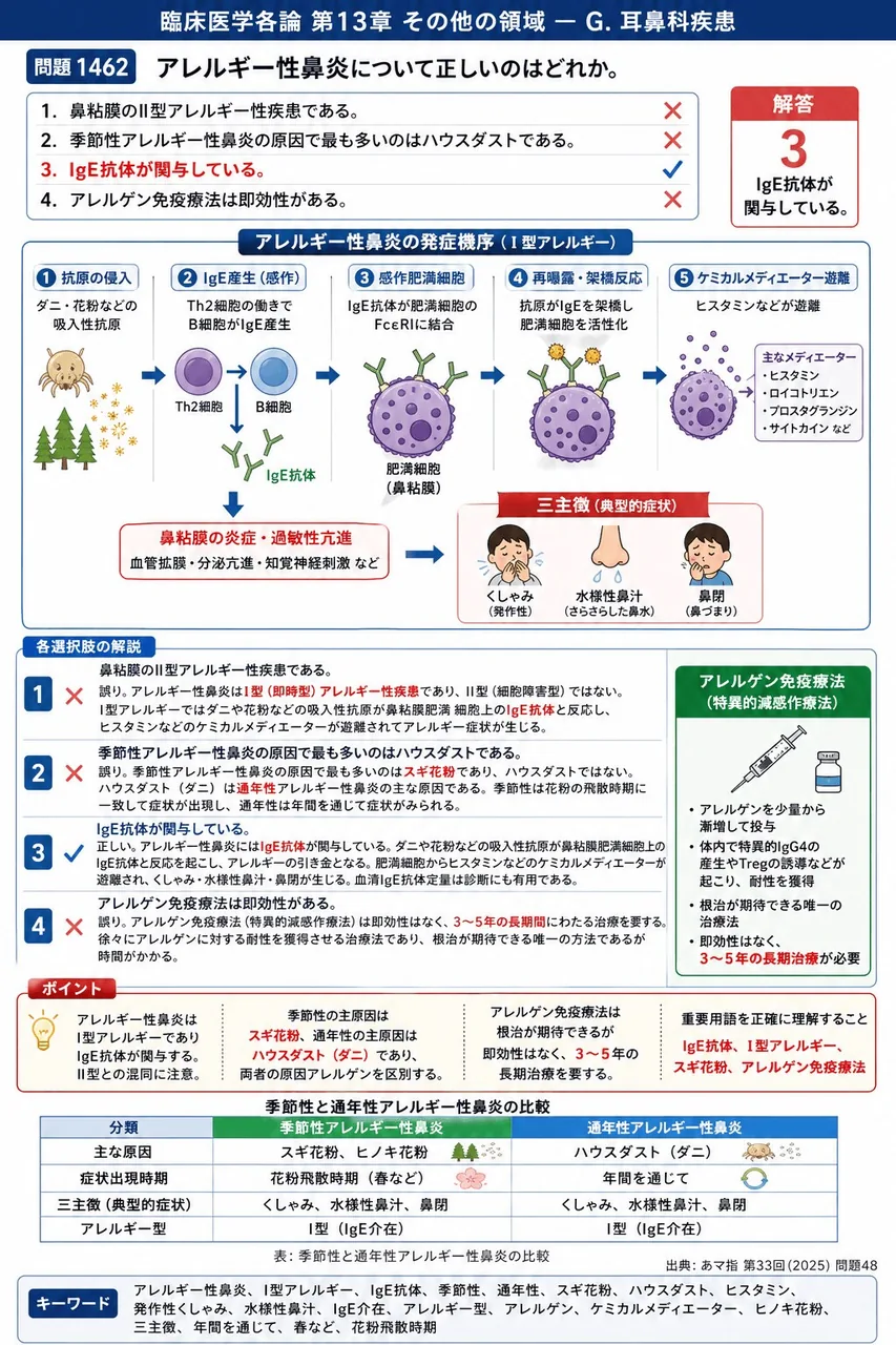 あマ指 第33回(2025) 問題48|アレルギー性鼻炎について正しいのはどれか。 解説図