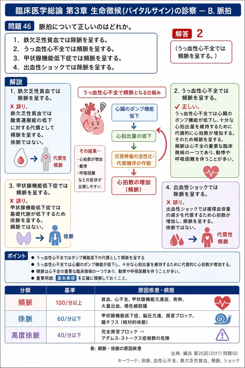 鍼灸 第25回(2017) 問題50|脈拍について正しいのはどれか。 解説図