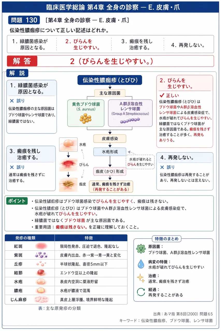 あマ指 第8回(2000) 問題65|伝染性膿痂疹について正しい記述はどれか。 解説図