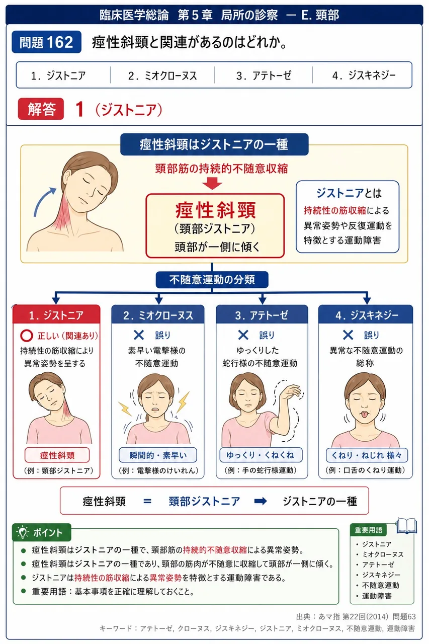あマ指 第22回(2014) 問題63｜痙性斜頚と関連があるのはどれか。 解説図