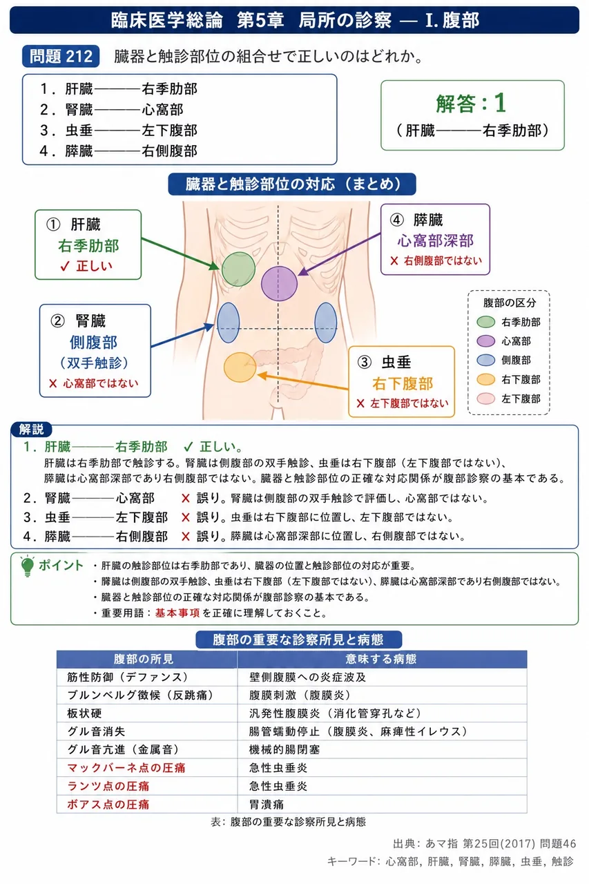あマ指 第25回(2017) 問題46｜臓器と触診部位の組合せで正しいのはどれか。 解説図