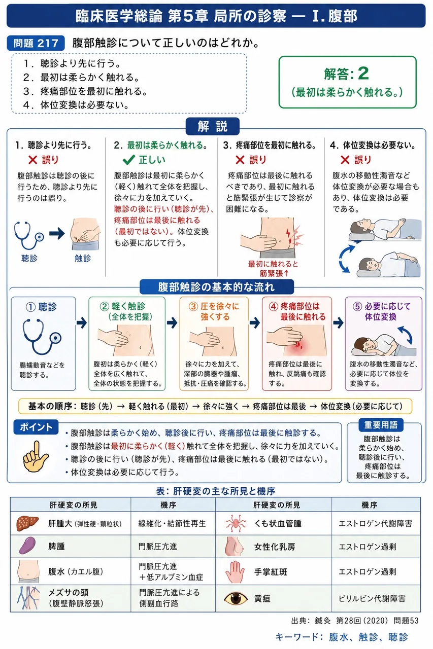 鍼灸 第28回(2020) 問題53｜腹部触診について正しいのはどれか。 解説図