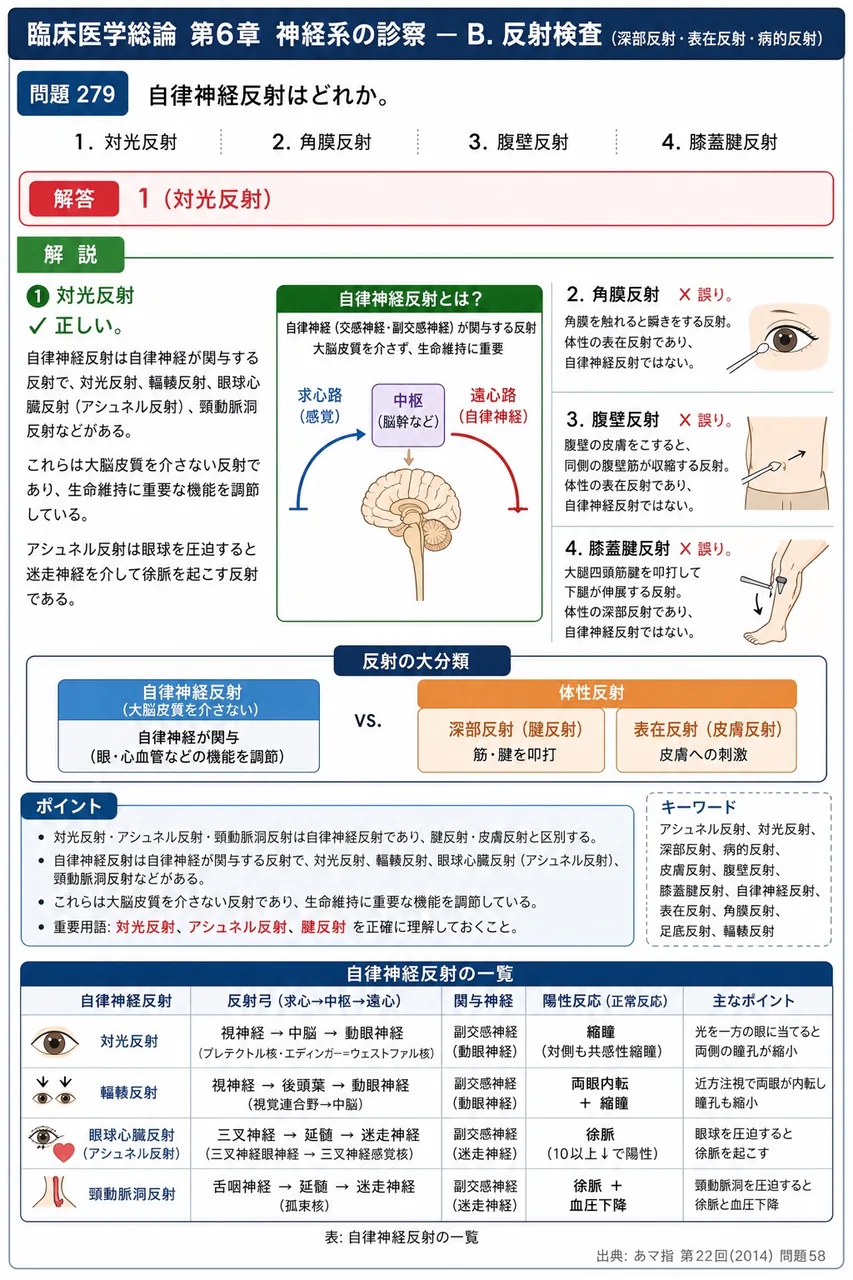 あマ指 第22回(2014) 問題58|自律神経反射はどれか。 解説図