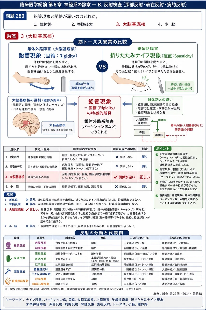 鍼灸 第22回(2014) 問題58|鉛管現象と関係が深いのはどれか。 解説図