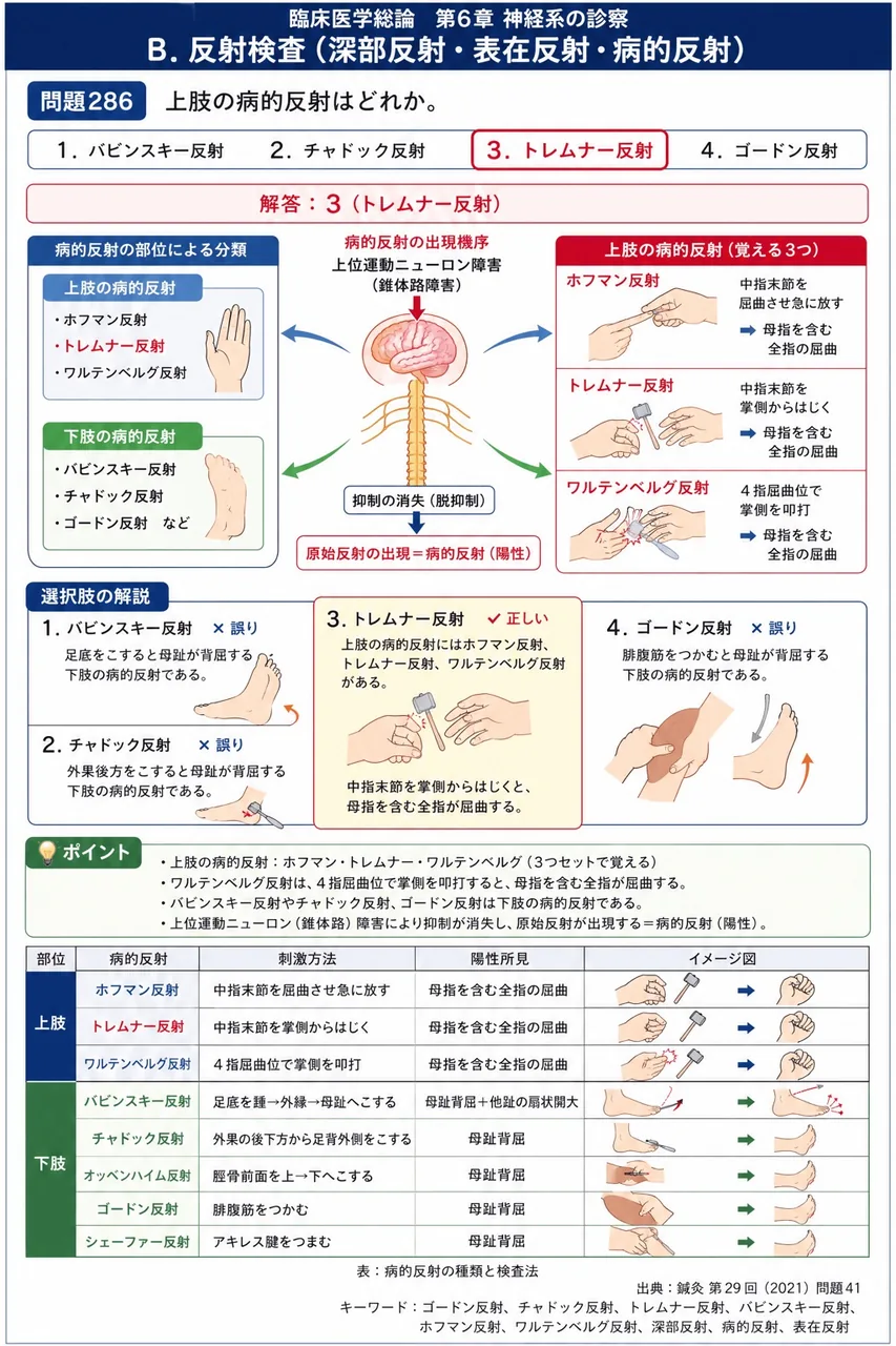 鍼灸 第29回(2021) 問題41｜上肢の病的反射はどれか。 解説図