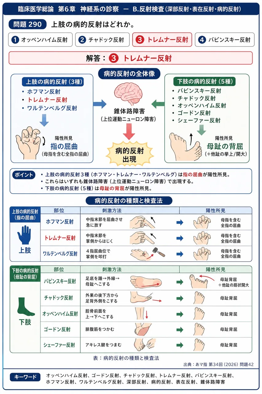 あマ指 第34回(2026) 問題42|上肢の病的反射はどれか。 解説図