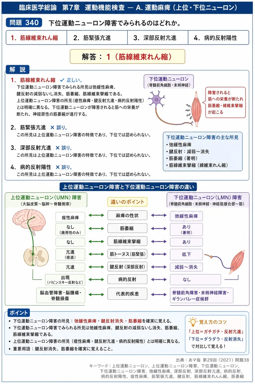 あマ指 第29回(2021) 問題38|下位運動ニューロン障害でみられるのはどれか。 解説図