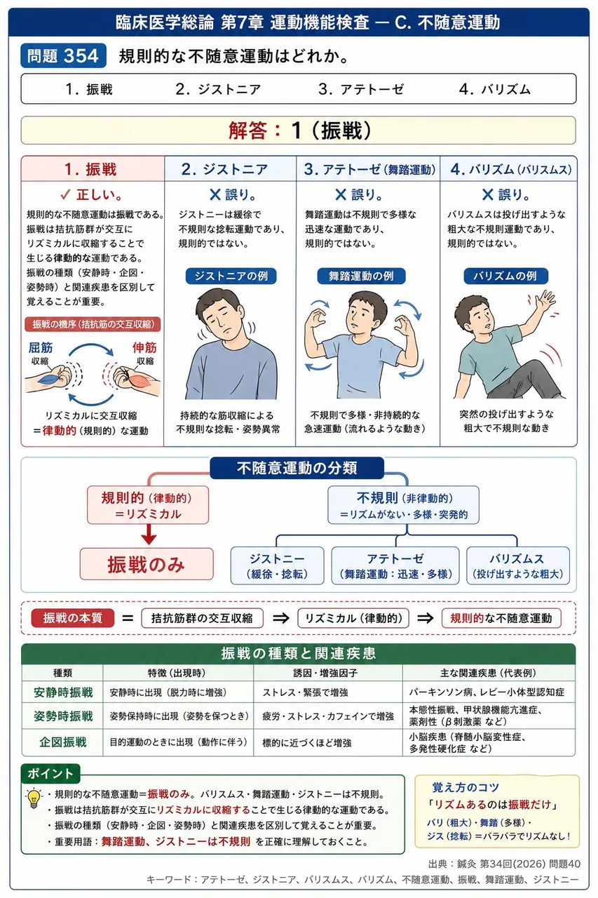 鍼灸 第34回(2026) 問題40｜規則的な不随意運動はどれか。 解説図