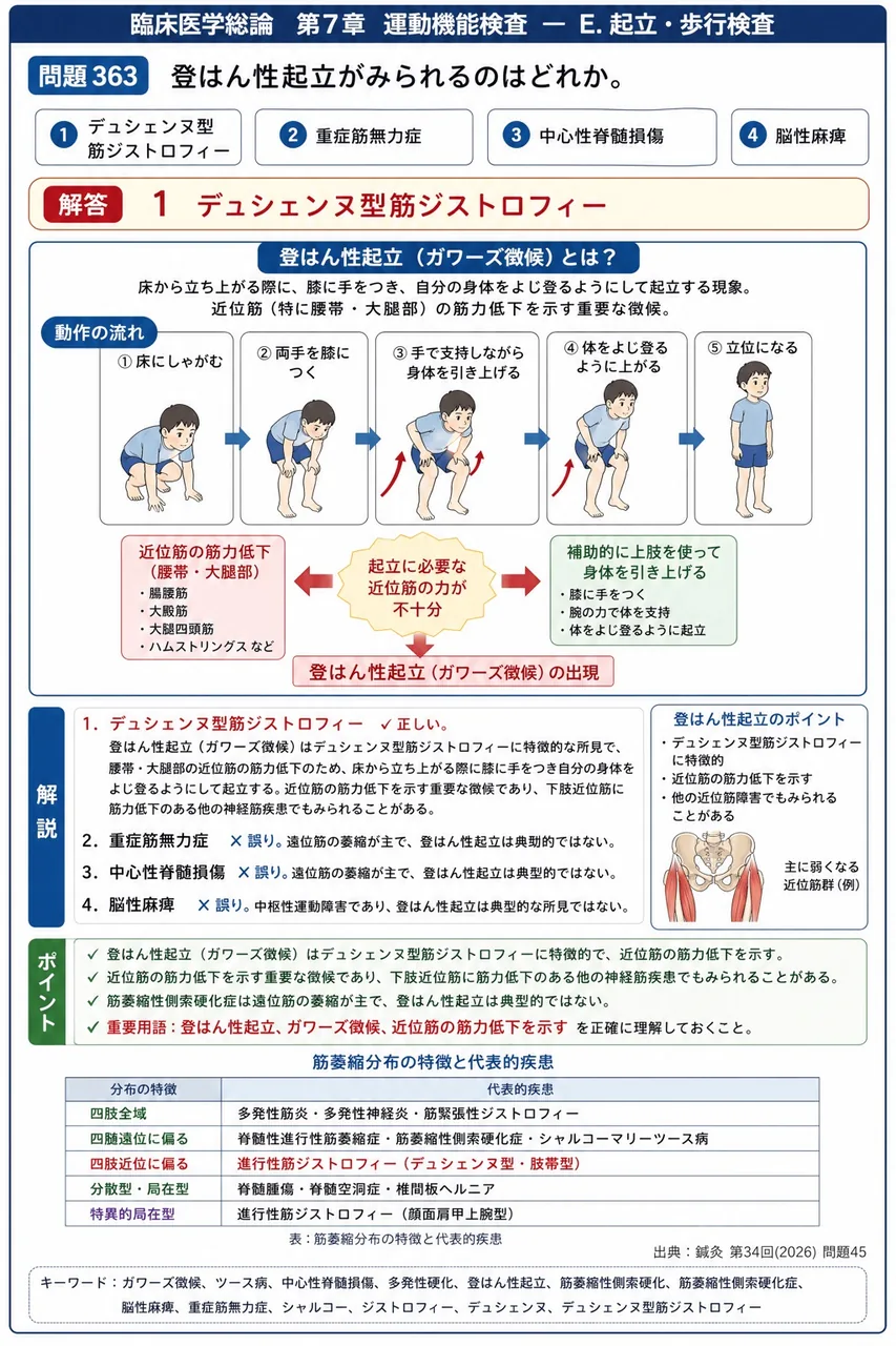 鍼灸 第34回(2026) 問題45|登はん性起立がみられるのはどれか。 解説図