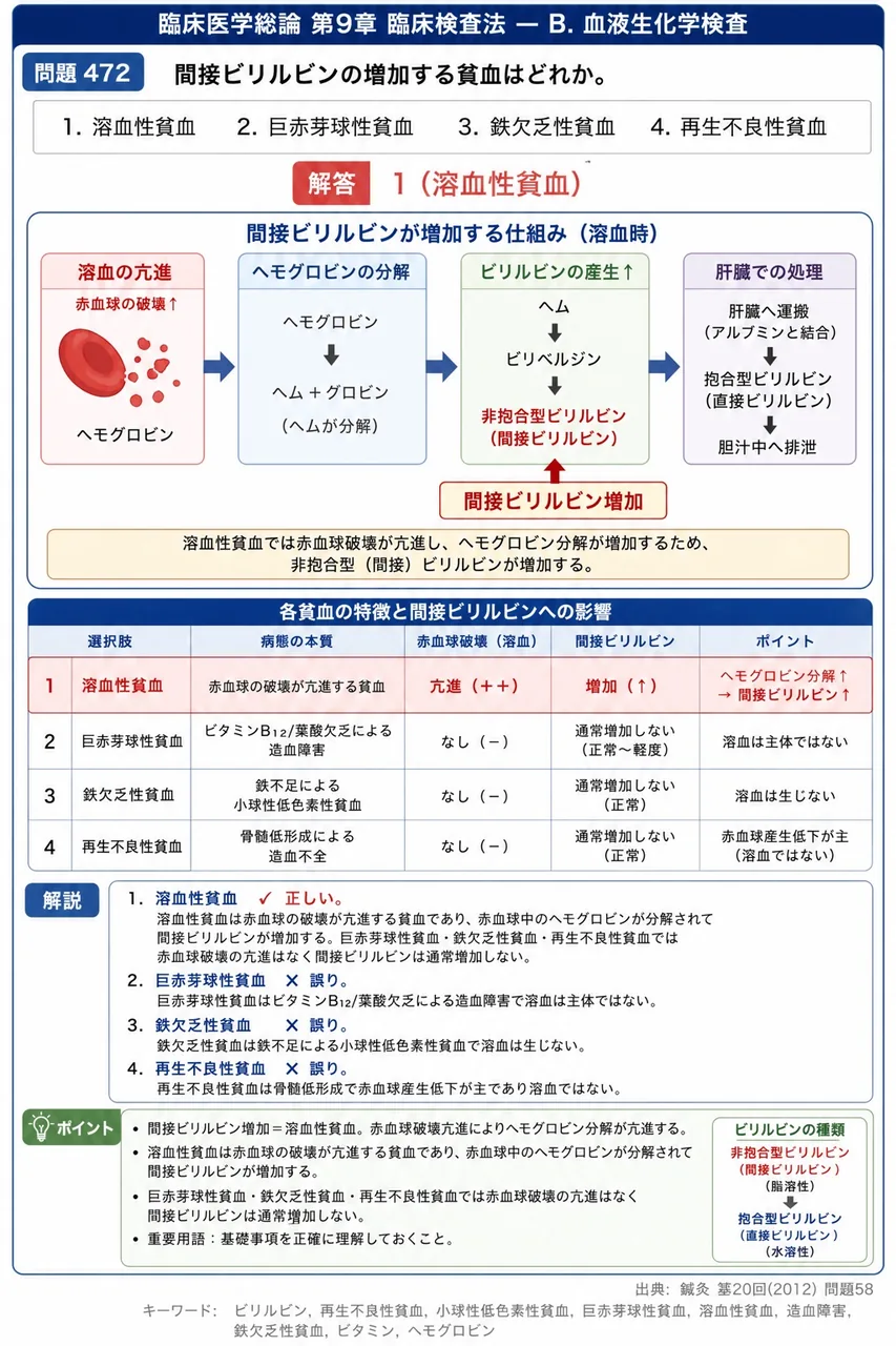 鍼灸 第20回(2012) 問題58｜間接ビリルビンの増加する貧血はどれか。 解説図