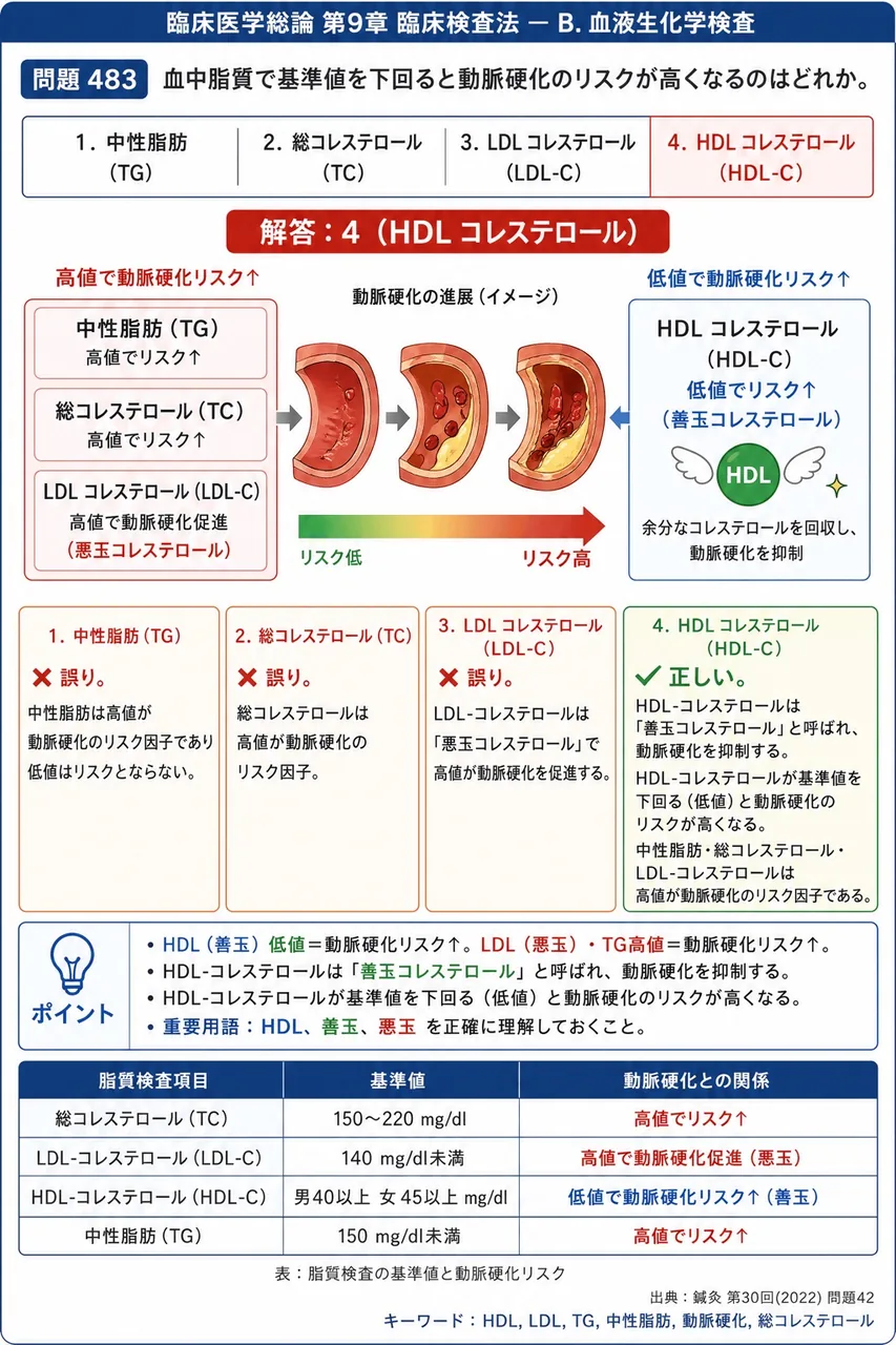 鍼灸 第30回(2022) 問題42|血中脂質で基準値を下回ると動脈硬化のリスクが高くなるのはどれか。 解説図