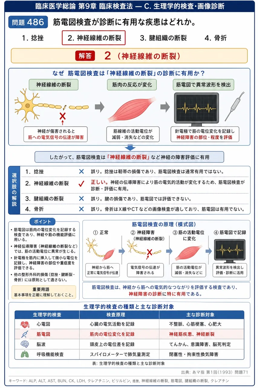 あマ指 第1回(1993) 問題71|筋電図検査が診断に有用な疾患はどれか。 解説図