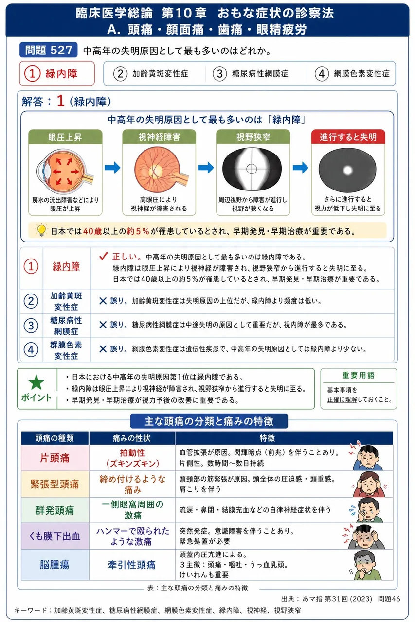 あマ指 第31回(2023) 問題46|中高年の失明原因として最も多いのはどれか。 解説図