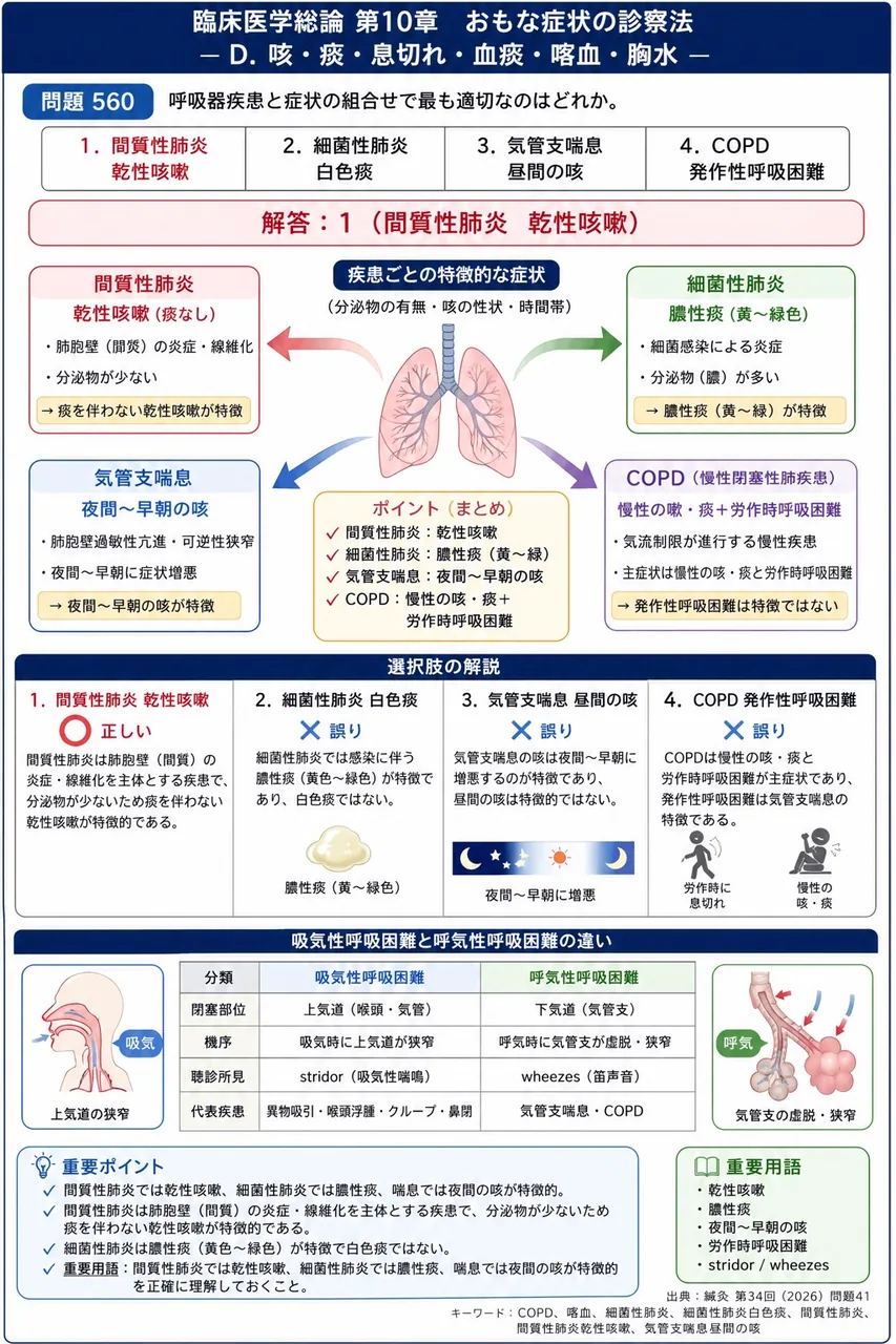 鍼灸 第34回(2026) 問題41|呼吸器疾患と症状の組合せで最も適切なのはどれか。 解説図
