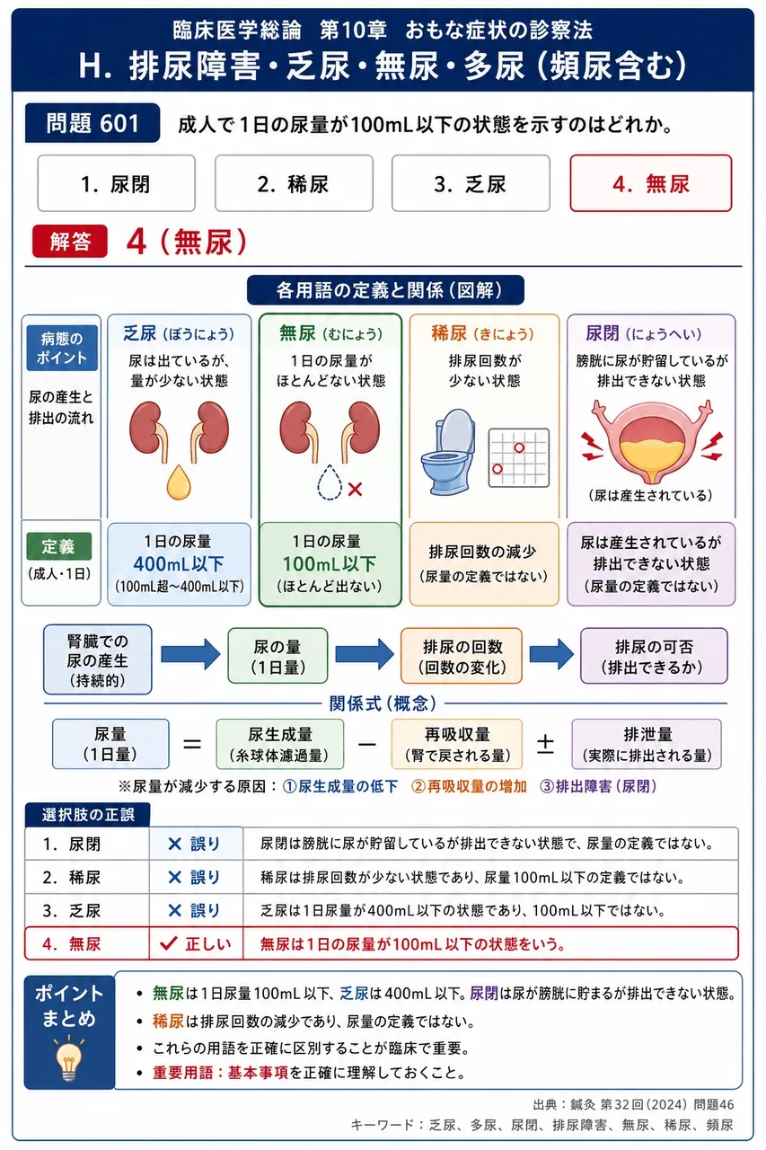 鍼灸 第32回(2024) 問題46｜成人で1日の尿量が100mL以下の状態を示すのはどれか。 解説図