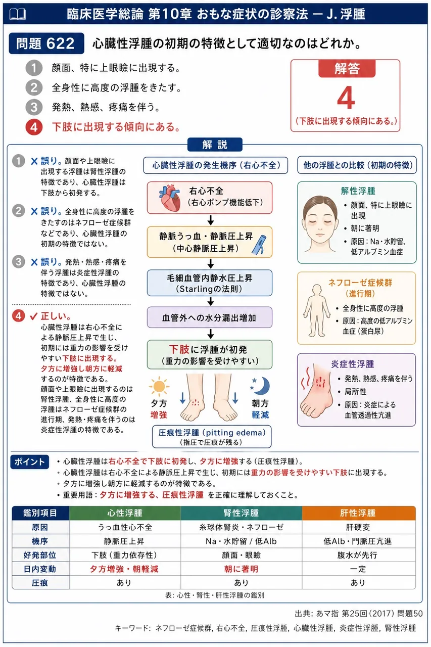 あマ指 第25回(2017) 問題50|心臓性浮腫の初期の特徴として適切なのはどれか。 解説図