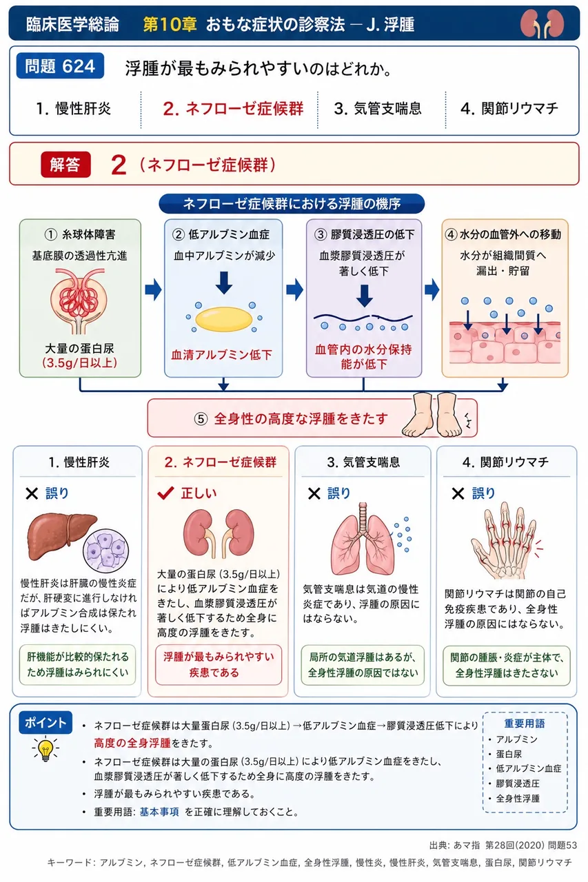 あマ指 第28回(2020) 問題53｜浮腫が最もみられやすいのはどれか。 解説図