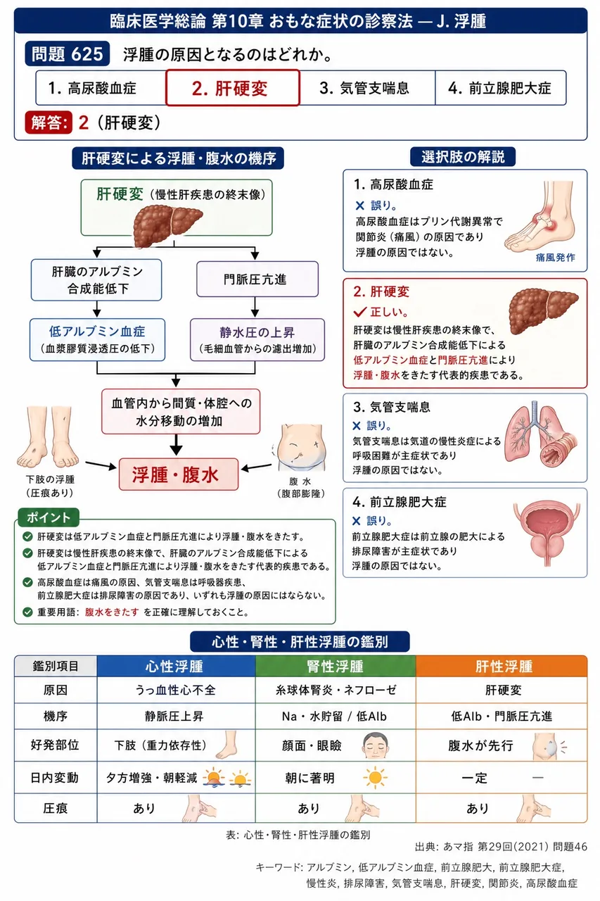 あマ指 第29回(2021) 問題46|浮腫の原因となるのはどれか。 解説図