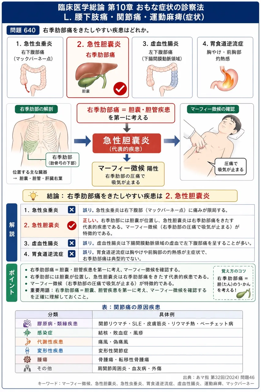 あマ指 第32回(2024) 問題46|右季肋部痛をきたしやすい疾患はどれか。 解説図