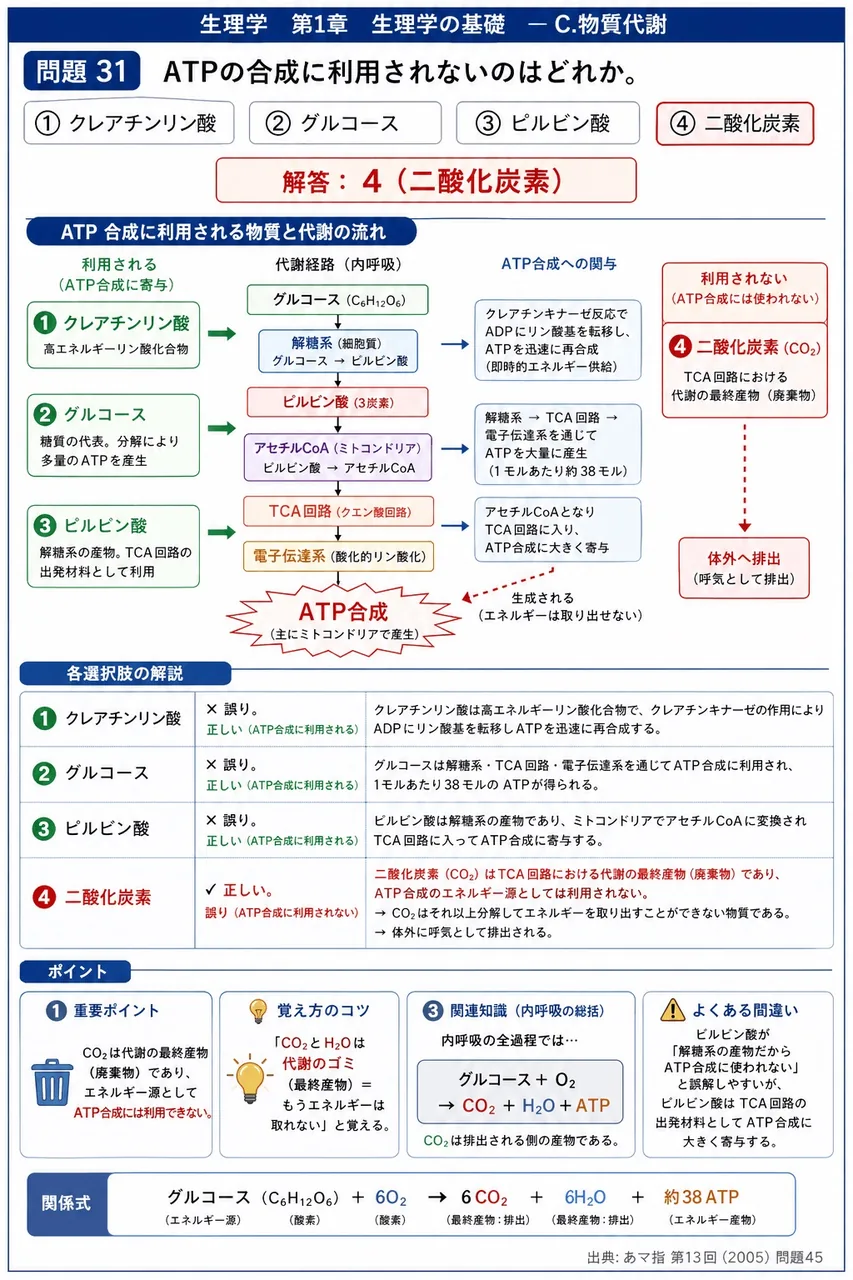 あマ指 第13回(2005) 問題45｜ATPの合成に利用されないのはどれか。 解説図