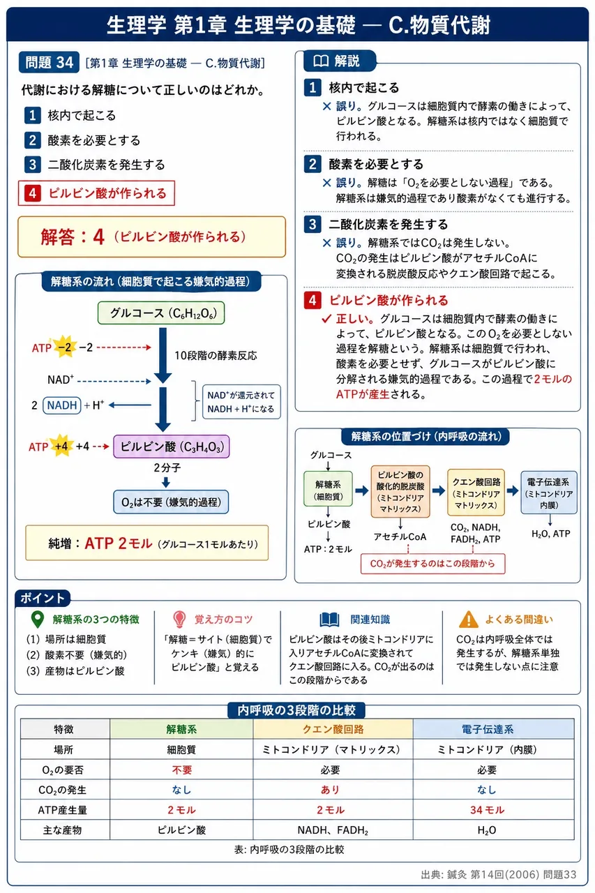鍼灸 第14回(2006) 問題33|代謝における解糖について正しいのはどれか。 解説図