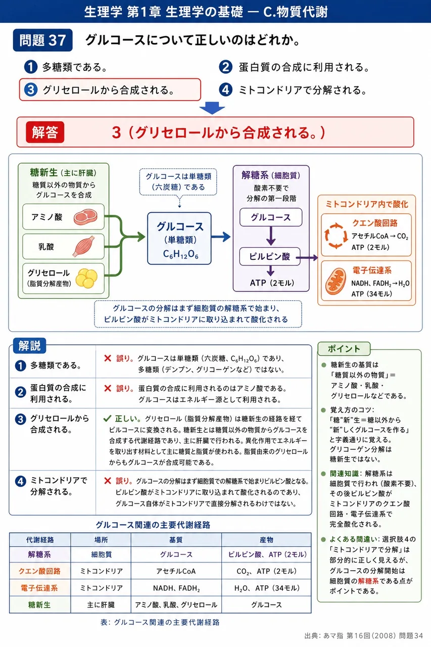 あマ指 第16回(2008) 問題34|グルコースについて正しいのはどれか。 解説図