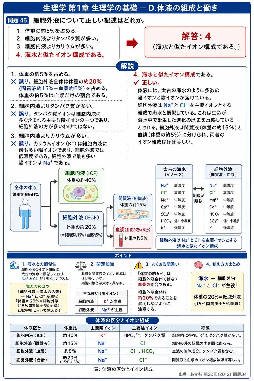 あマ指 第20回(2012) 問題34|細胞外液について正しい記述はどれか。 解説図