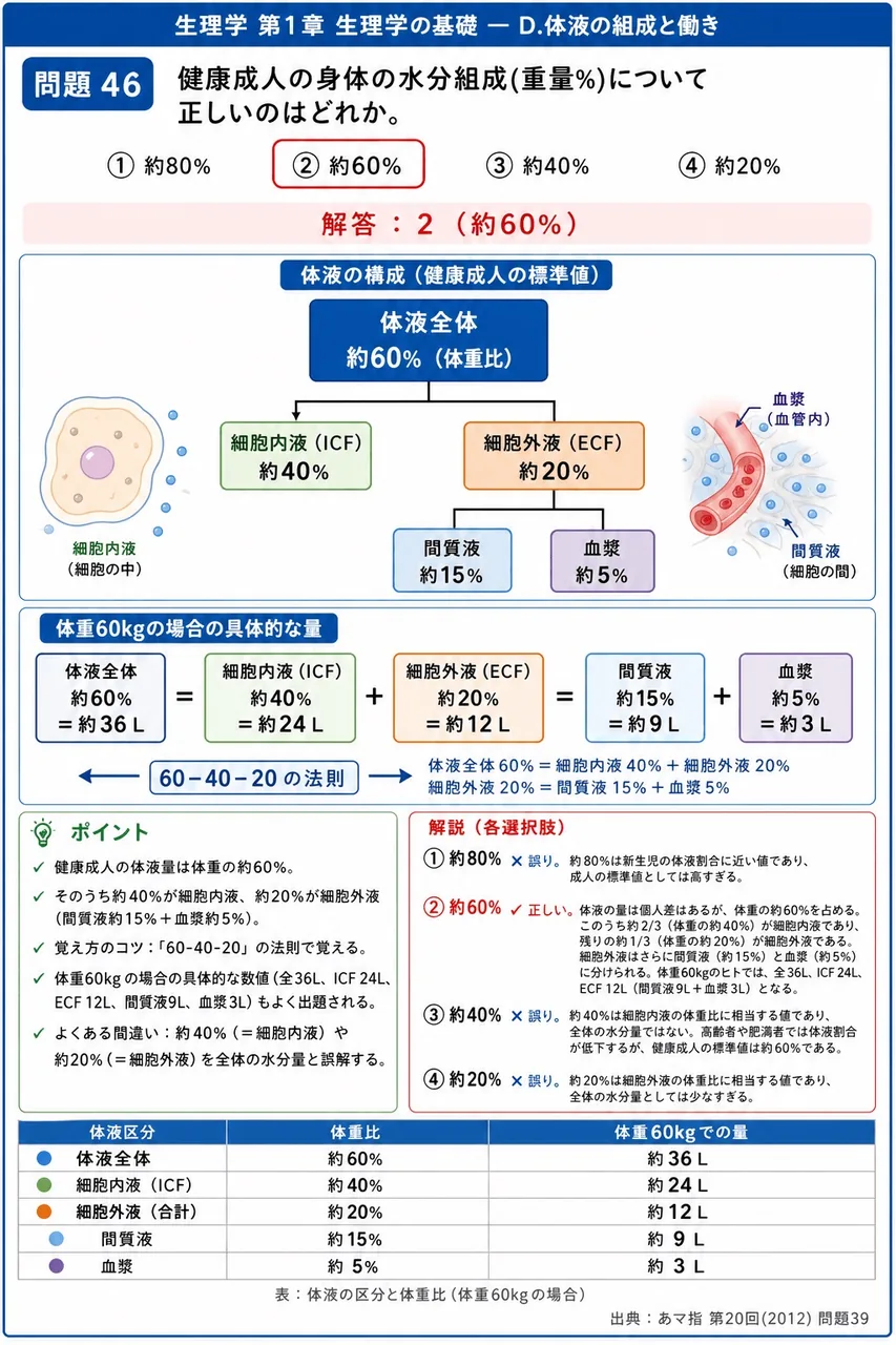 あマ指 第20回(2012) 問題39｜健康成人の身体の水分組成(重量%)について正しいのはどれか。 解説図