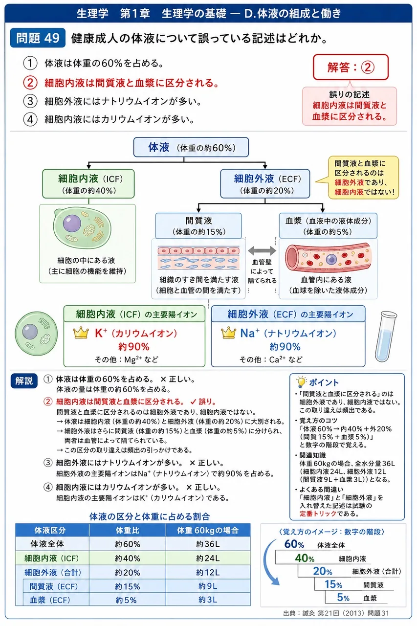 鍼灸 第21回(2013) 問題31｜健康成人の体液について誤っている記述はどれか。 解説図