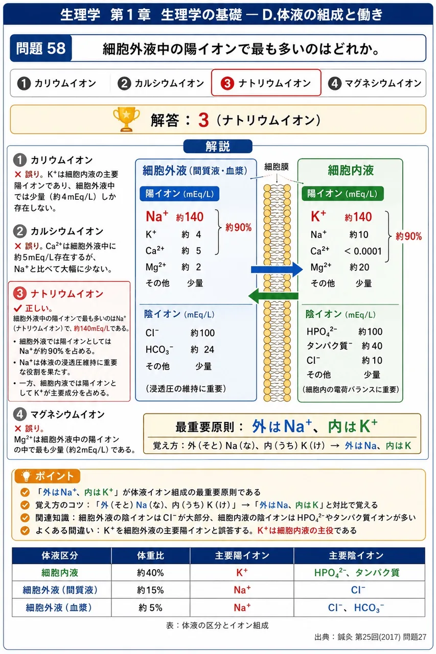鍼灸 第25回(2017) 問題27｜細胞外液中の陽イオンで最も多いのはどれか。 解説図