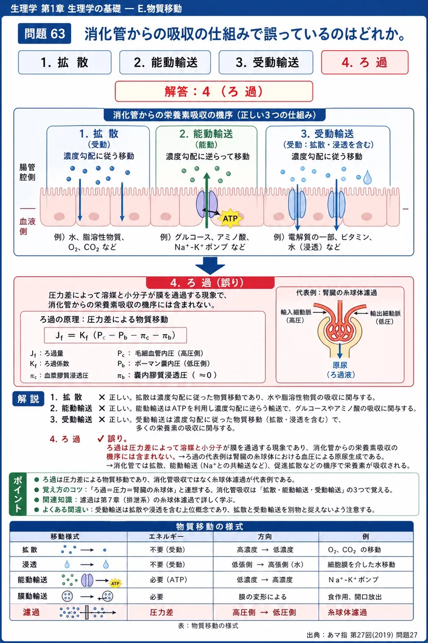 あマ指 第27回(2019) 問題27|消化管からの吸収の仕組みで誤っているのはどれか。 解説図