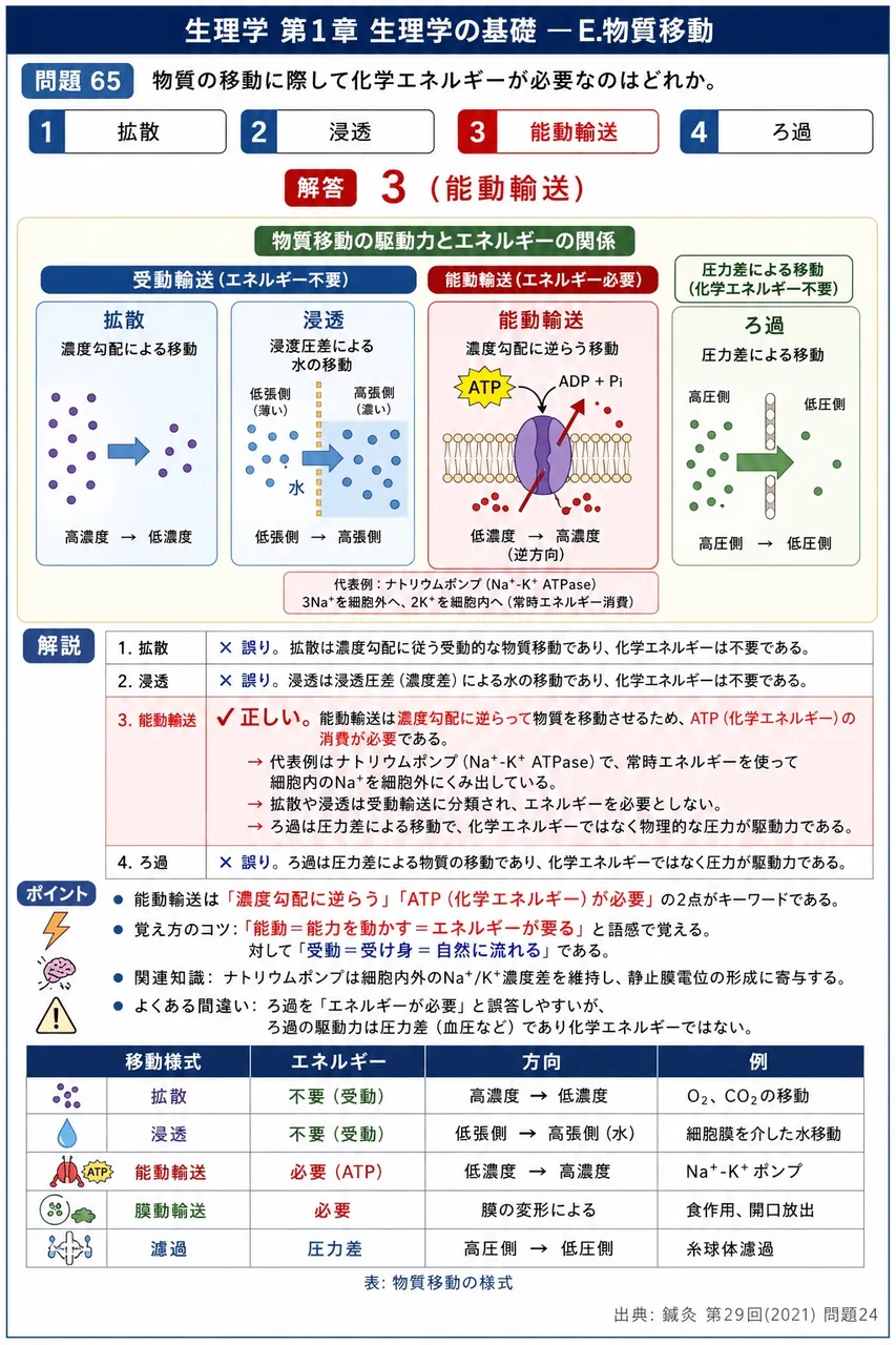 鍼灸 第29回(2021) 問題24|物質の移動に際して化学エネルギーが必要なのはどれか。 解説図